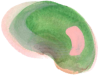 そら豆