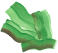 ほうれん草